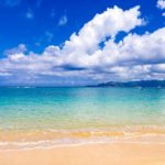 Go To　キャンペーンに持っていきたいバッグ4選