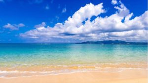 Go To　キャンペーンに持っていきたいバッグ4選