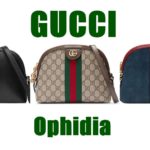 オールドグッチを想起させるオフィディアの魅力【GUCCI・人気ショルダーバッグ】かんてい局亀有店/買取