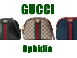 オールドグッチを想起させるオフィディアの魅力【GUCCI・人気ショルダーバッグ】かんてい局亀有店/買取