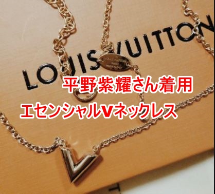 LOUIS VUITTON  エセンシャルV目立った傷や汚れなし