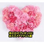 お母さんありがとう。5月9日の母の日に贈りたいプレゼント4選【かんてい局亀有店】