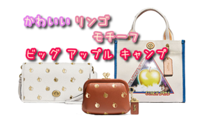 コーチ かわいいリンゴの ビッグ アップル キャンプ をご紹介します♪ 【かんてい局亀有店】葛飾区・足立区・江戸川区・荒川区・墨田区・松戸市・八潮市・横浜市