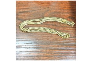 【質】K750(K18)ネックレス（喜平）を質預かり致しました！Pawn Shop【かんてい局亀有店】葛飾区・足立区・江戸川区・荒川区・墨田区・松戸市・市川市・船橋市・八潮市・横浜市