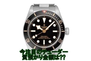 【質】チューダー　トリテージ　ブラックベイ　Ref.79030N  をお預かりしました【かんてい局亀有店】葛飾区・足立区・江戸川区