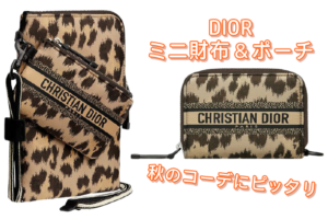 DIOR☆ディオールから機能的なミニ財布とポーチが新登場！【質屋かんてい局亀有店】葛飾区・足立区・江戸川区・荒川区・墨田区・松戸市・市川市・船橋市・八潮市・横浜市