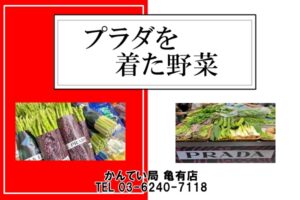 プラダを着た野菜！？映え写真、間違いない！【質屋かんてい局亀有店】葛飾区・足立区・江戸川区・荒川区・墨田区・松戸市・市川市・船橋市・八潮市・横浜市