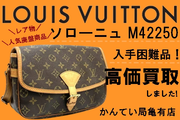 ルイヴィトン Louis Vuitton 希少ソローニュ(2015年廃盤品)-