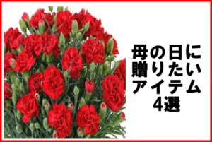 母の日にプレゼントしたいアイテム4選