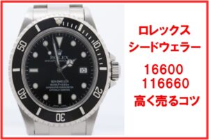 【相場上昇】ロレックス シードウェラー16600の買取価格推移と最新相場