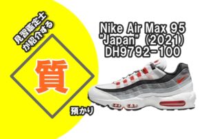 【質】スニーカーで融資受けられます！Nike Air Max 95 